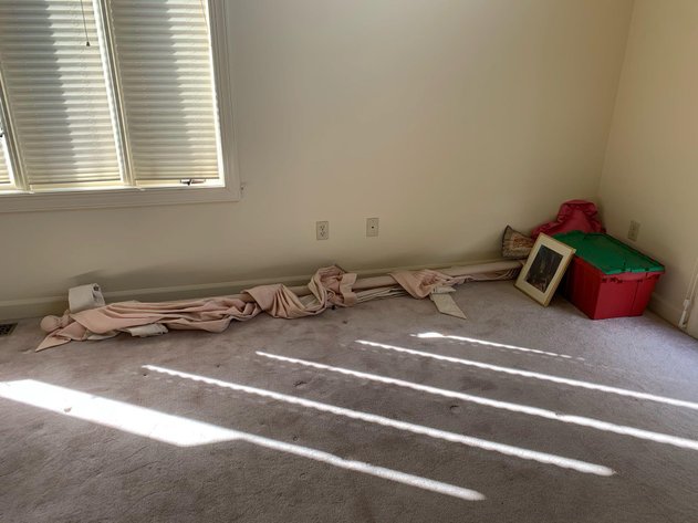 Image for Wholesale Auction, Harrisonburg