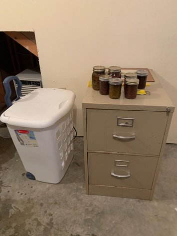 Image for Wholesale Auction, Harrisonburg