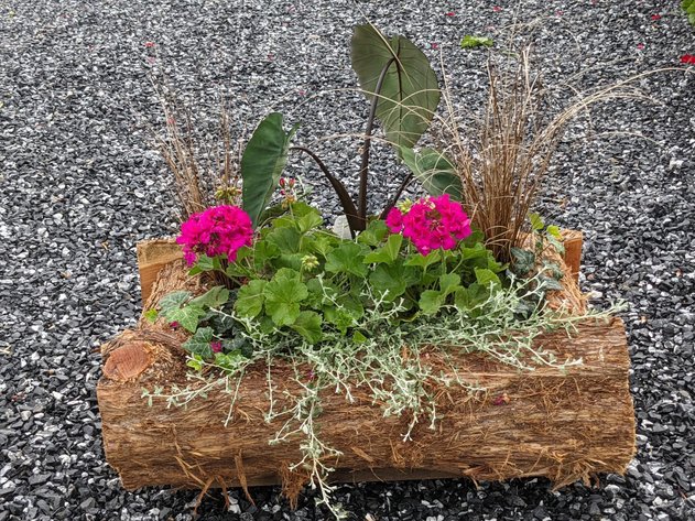 Image for Flower Auction