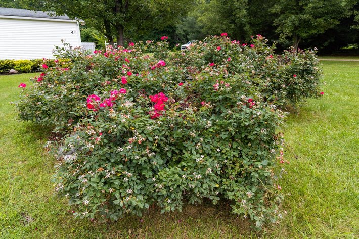 Image for Grottoes Real Estate