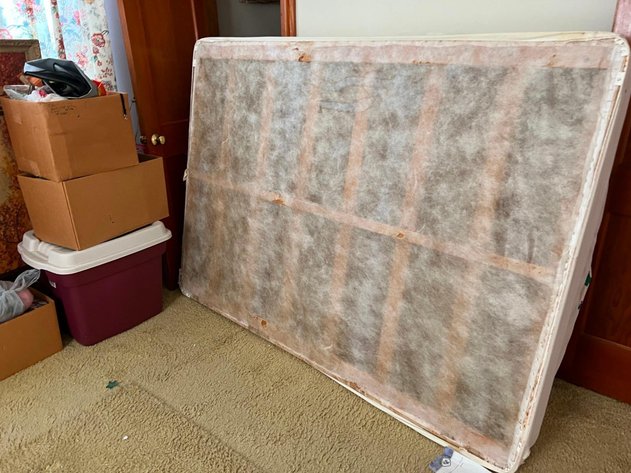 Image for Moving Cleanout Auction