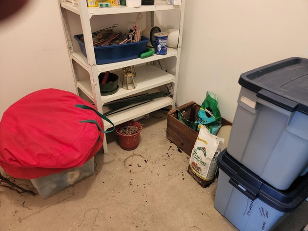 Image for Wholesale Auction, Waynesboro