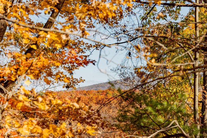 Image for Greenville Real Estate Auction