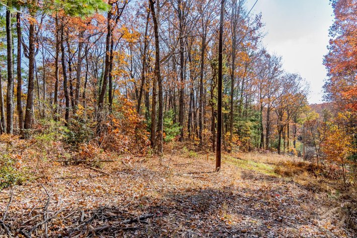 Image for Greenville Real Estate Auction