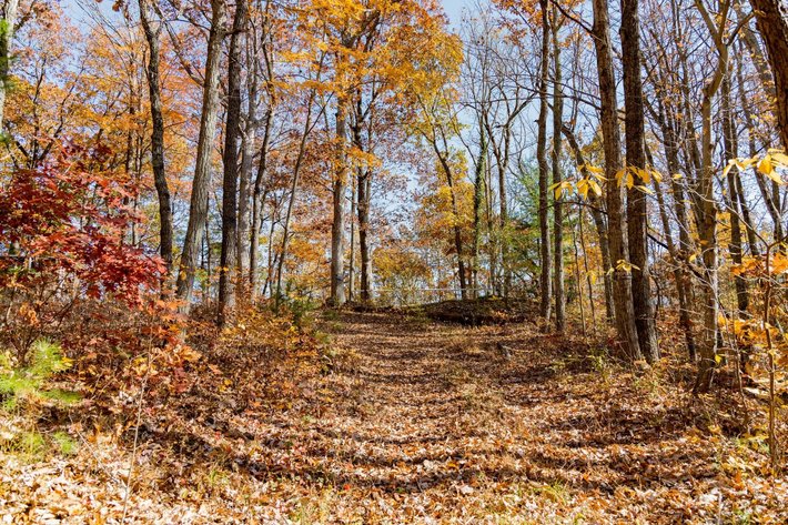 Image for Greenville Real Estate Auction