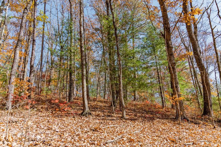 Image for Greenville Real Estate Auction