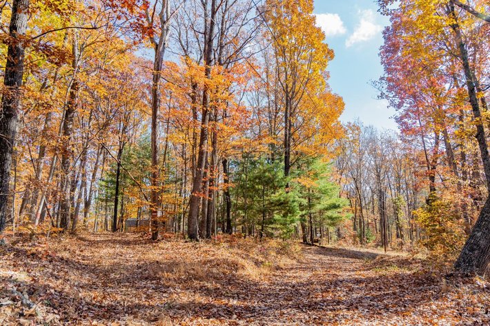 Image for Greenville Real Estate Auction