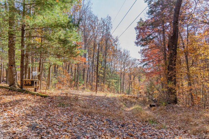 Image for Greenville Real Estate Auction