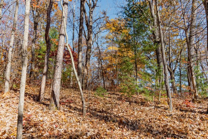 Image for Greenville Real Estate Auction