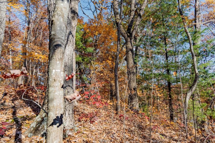 Image for Greenville Real Estate Auction