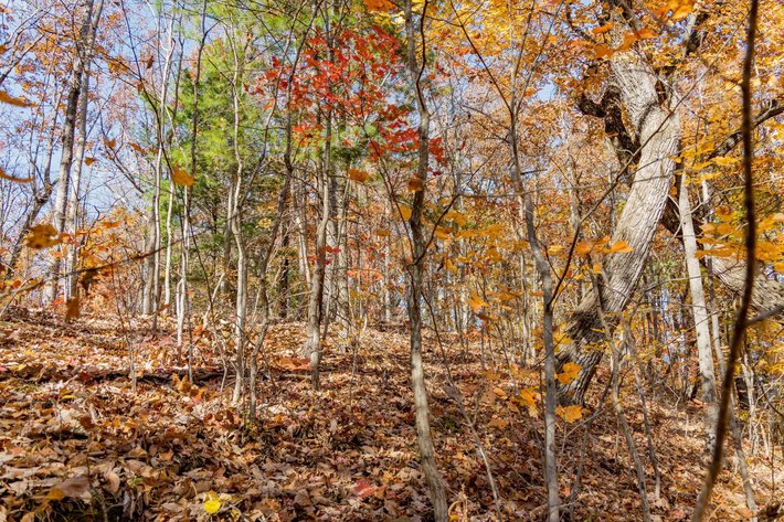 Image for Greenville Real Estate Auction