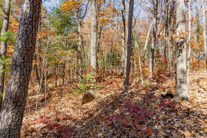 Image for Greenville Real Estate Auction