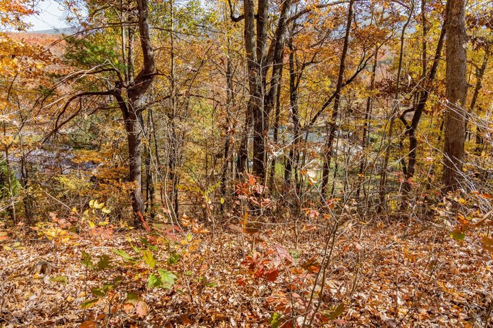 Image for Greenville Real Estate Auction