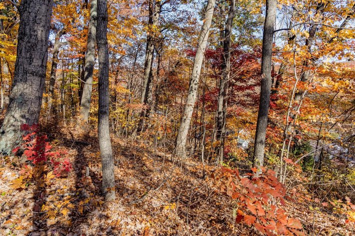 Image for Greenville Real Estate Auction