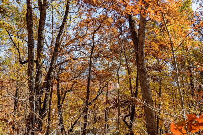 Image for Greenville Real Estate Auction