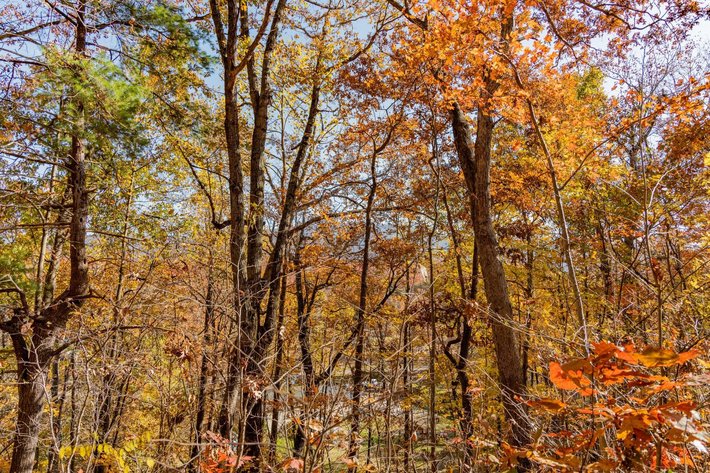 Image for Greenville Real Estate Auction