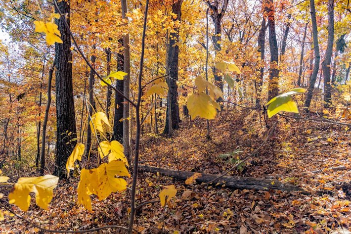 Image for Greenville Real Estate Auction