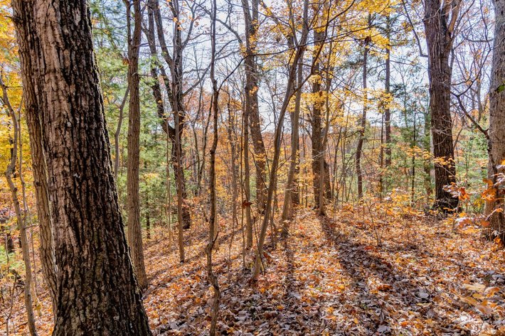 Image for Greenville Real Estate Auction