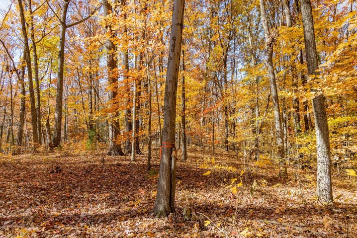 Image for Greenville Real Estate Auction