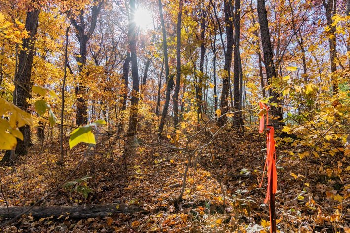 Image for Greenville Real Estate Auction