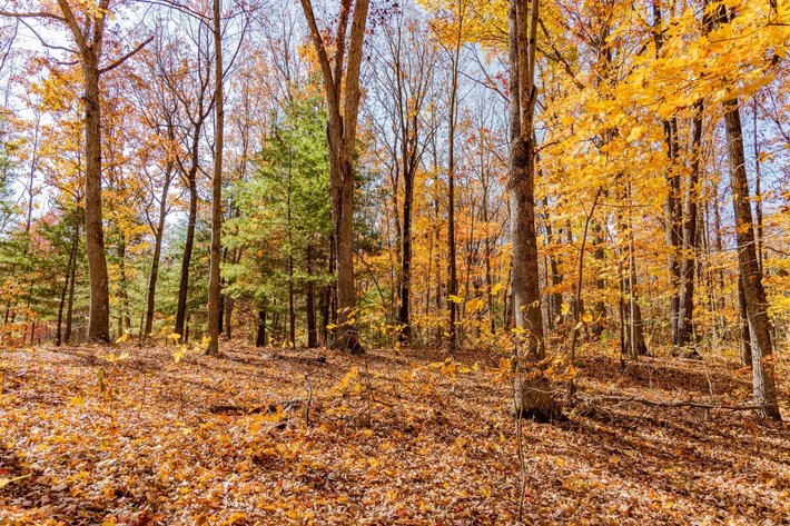 Image for Greenville Real Estate Auction