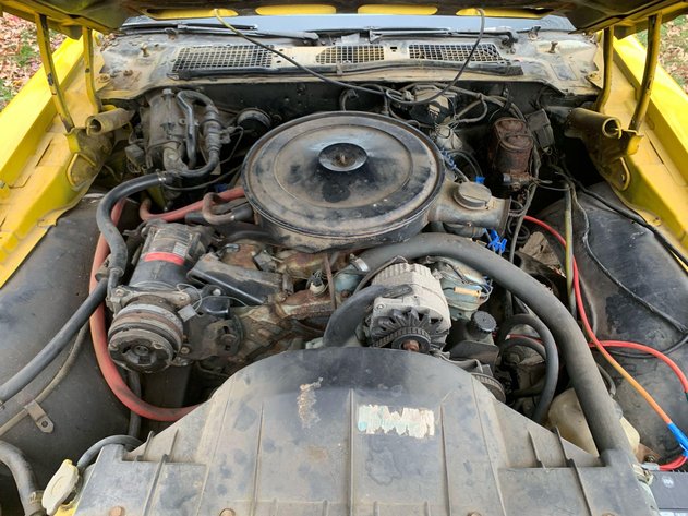 Image for 1971 Pontiac Firebird