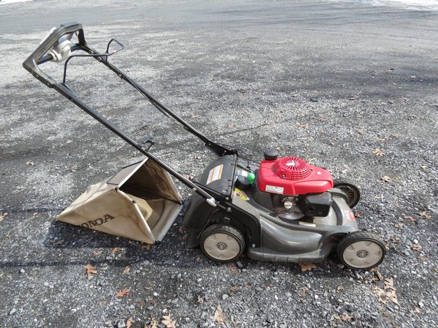 Image for Cold Springs Gallery