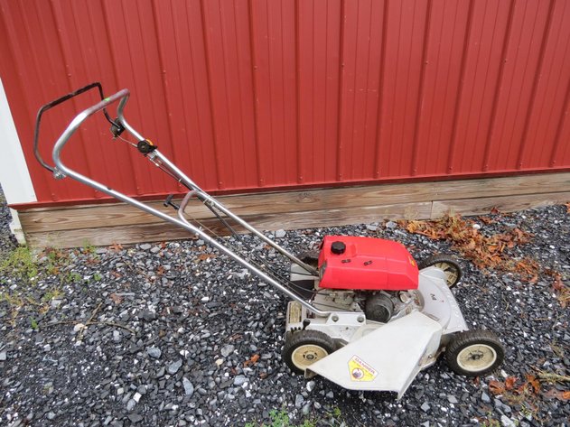 Image for Cold Springs Gallery