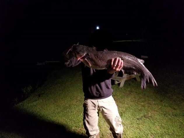 Image for Clifton Forge Home