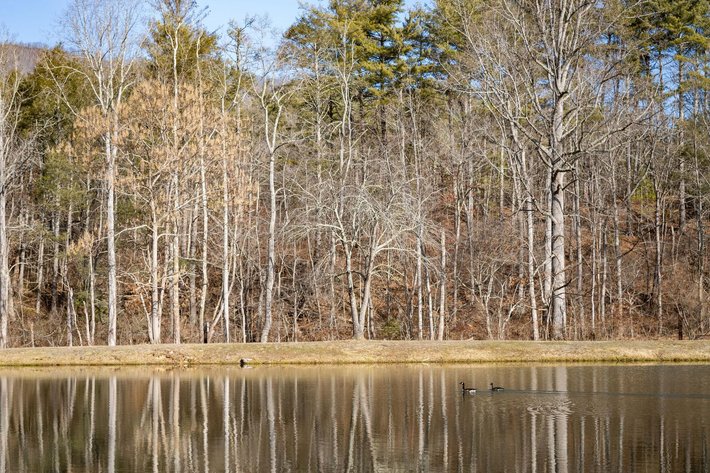 Image for Clifton Forge Home