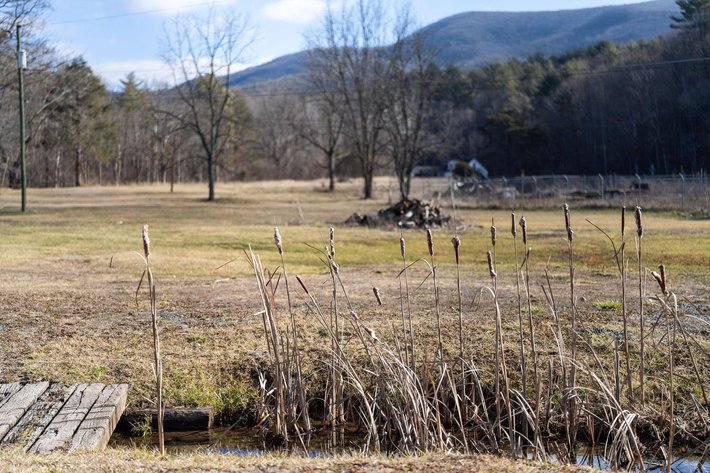 Image for Clifton Forge Home