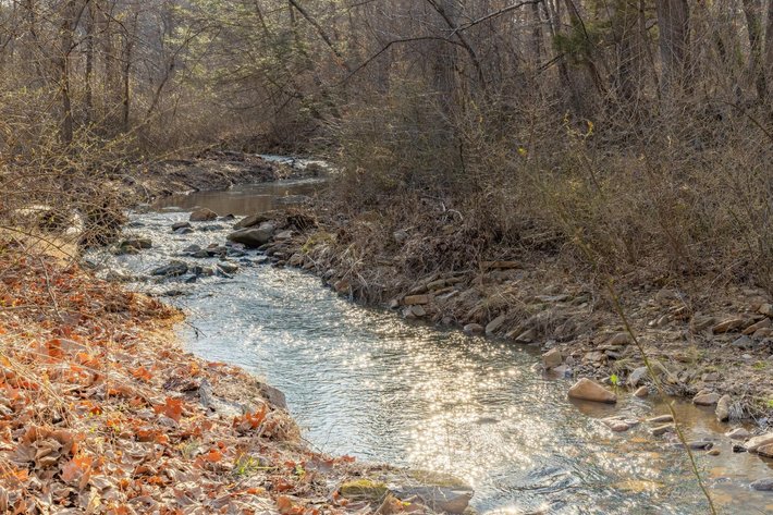 Image for Lyndhurst Real Estate