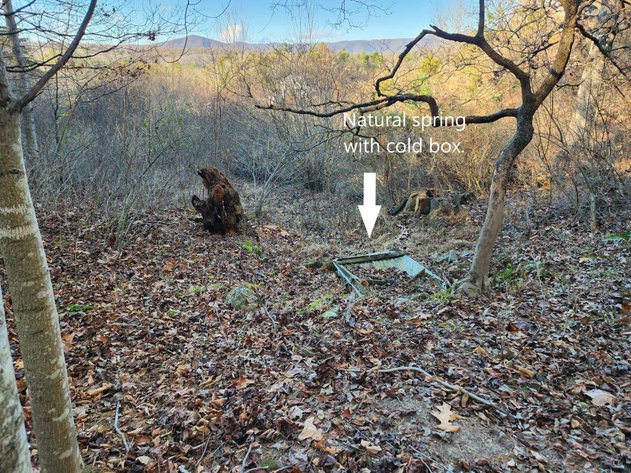 Image for 45.8 Acre Farm - Revis Estate