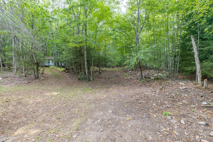 Image for Monterey Property - No Reserve