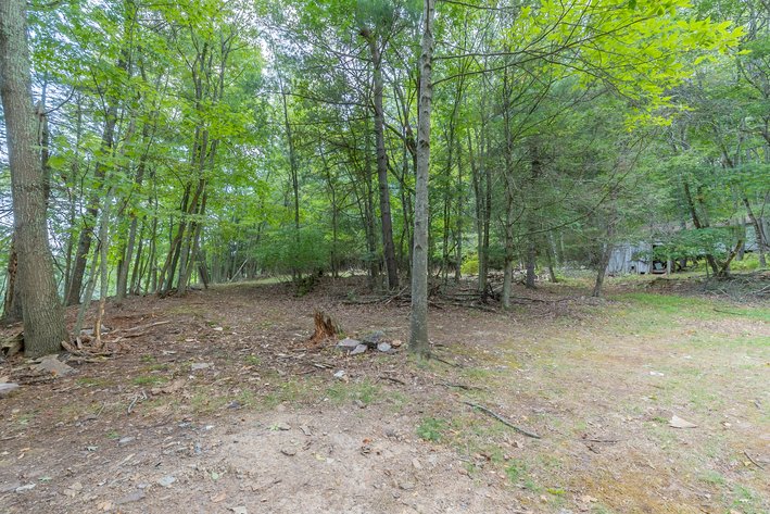 Image for Monterey Property - No Reserve