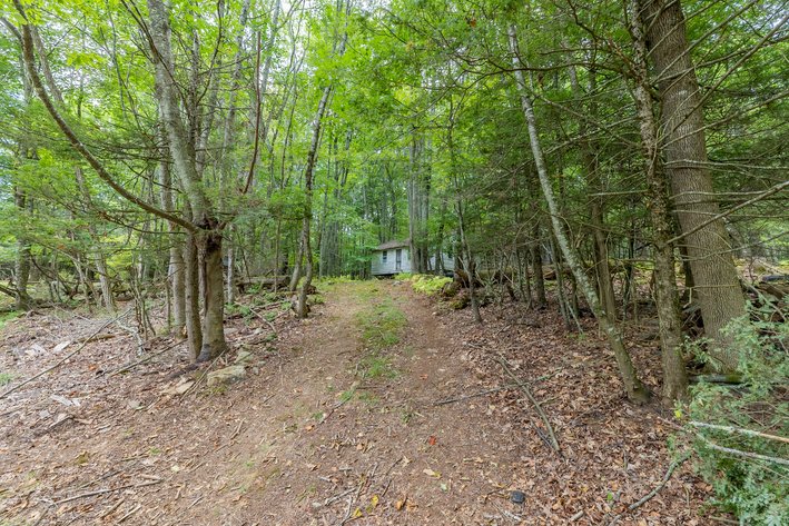 Image for Monterey Property - No Reserve