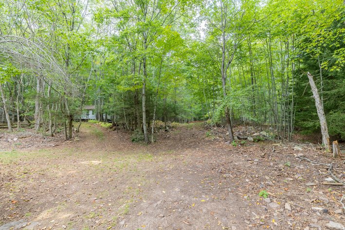 Image for Monterey Property - No Reserve