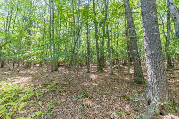 Image for Monterey Property - No Reserve