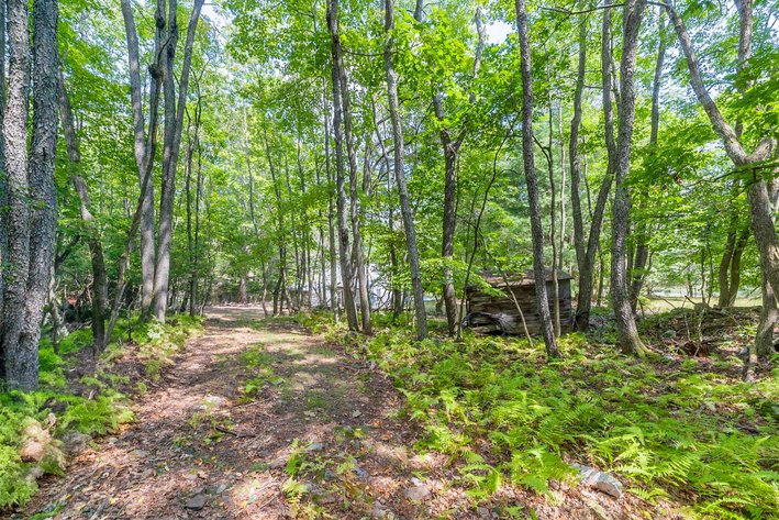 Image for Monterey Property - No Reserve