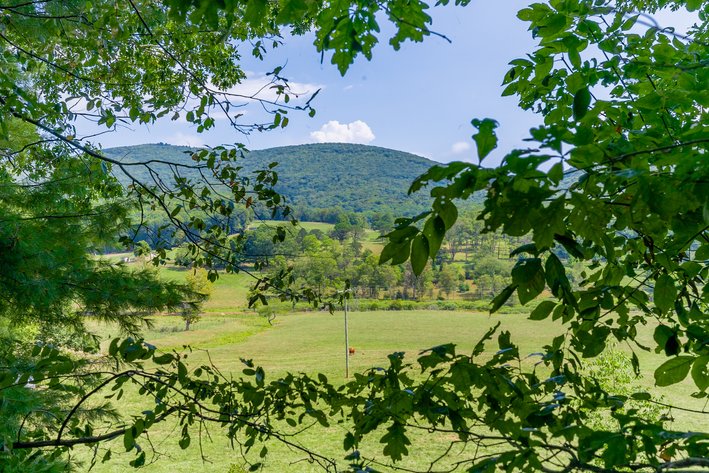 Image for Monterey Property - No Reserve