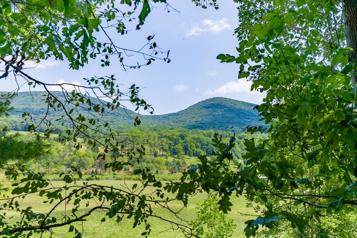 Image for Monterey Property - No Reserve