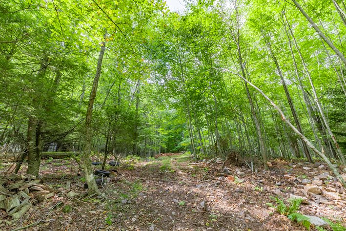 Image for Monterey Property - No Reserve