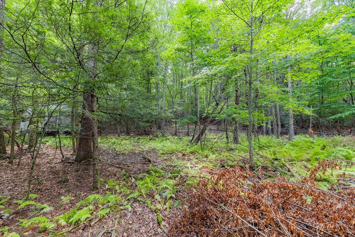 Image for Monterey Property - No Reserve