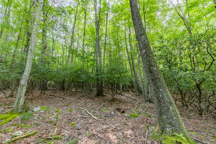 Image for Monterey Property - No Reserve