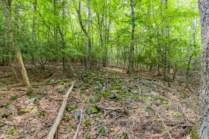 Image for Monterey Property - No Reserve