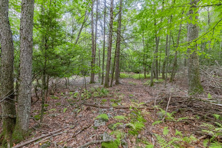 Image for Monterey Property - No Reserve