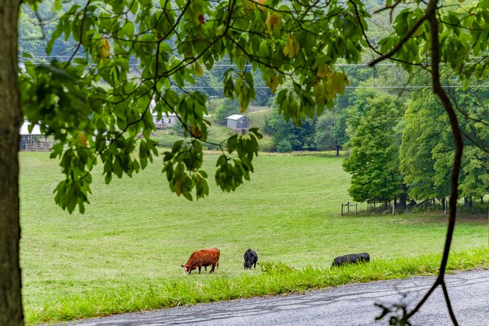 Image for Monterey Property - No Reserve