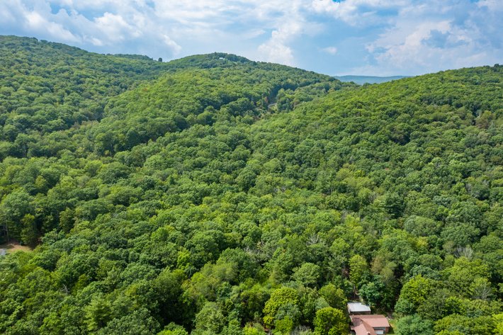 Image for Monterey Property - No Reserve