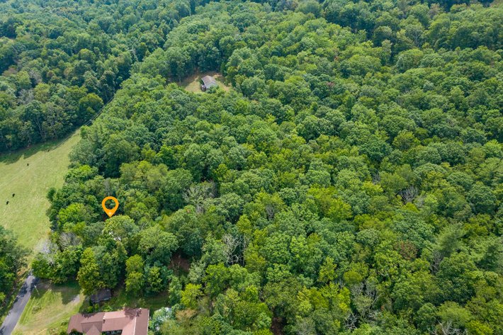 Image for Monterey Property - No Reserve