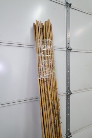 Image for Bamboo Poles